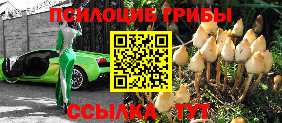 Псилоцибиновые грибы мицелий  Вход с VPN  Кызыл 